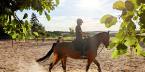 Reiterhof Trunk in Reckerstal